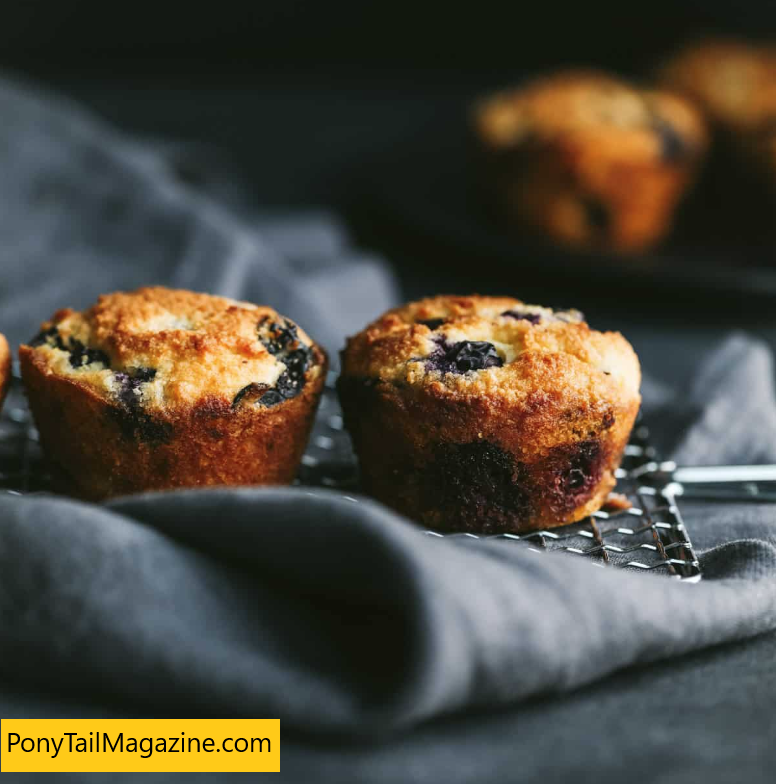 THE BEST KETO BLUEBERRY MUFFINS
