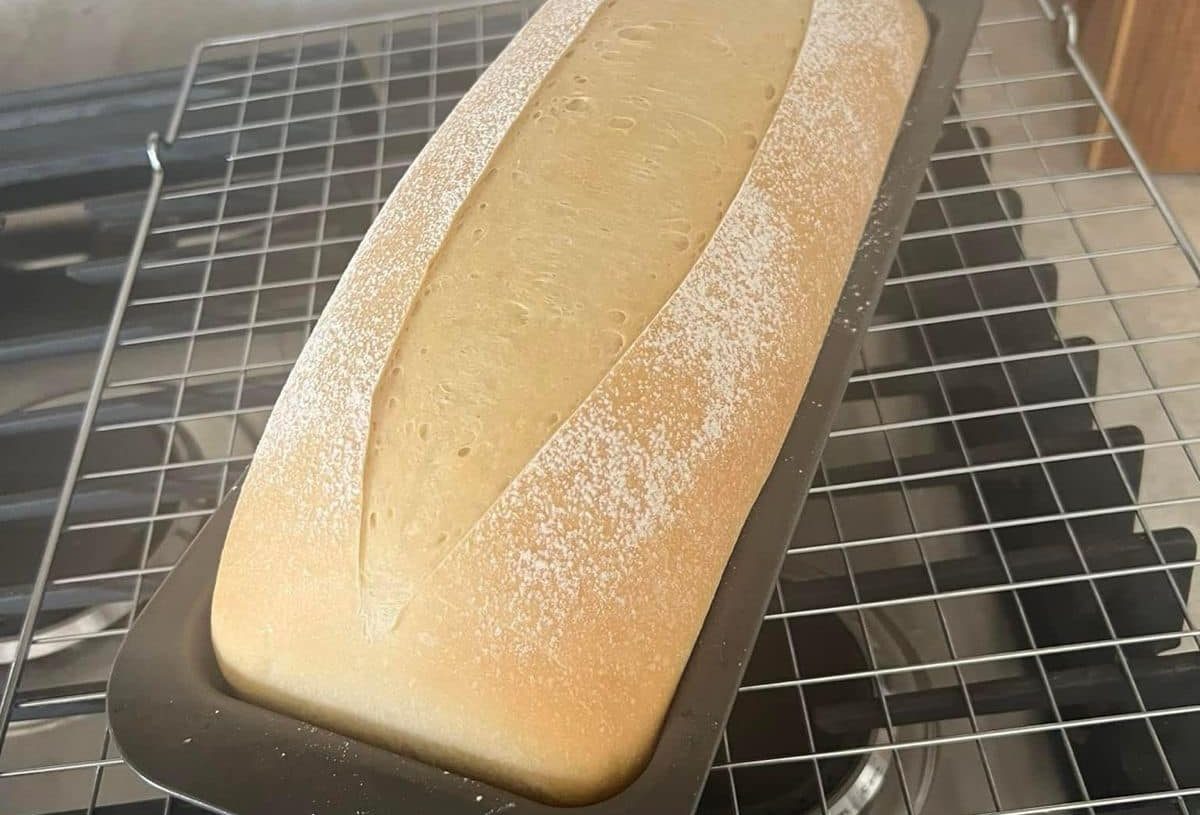 Easy sourdough sandwich bread
